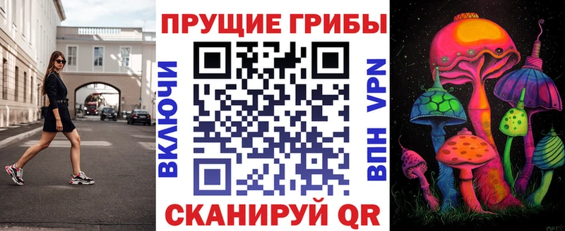 как найти наркотики кракен маркетплейс Галлюциногенные грибы Cubensis Галич